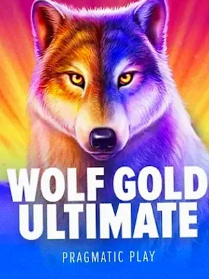 Wolf Gold Ultimate at Shambala