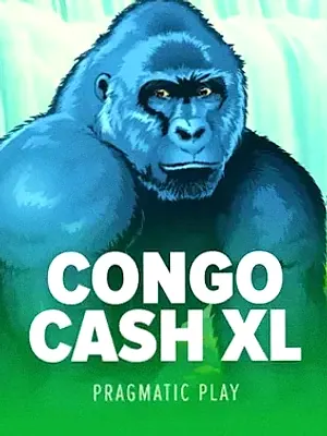 Congo Cash XL at Shambala